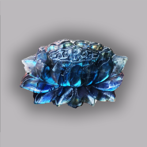 LABRADORITE Fleur de lotus