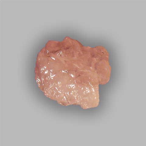 MORGANITE 13,25 ct.