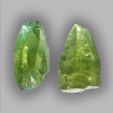PRIDOT 29/31 g.