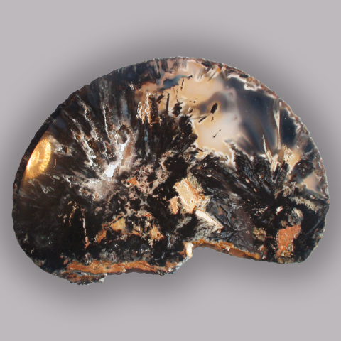 AGATE tranche polie 98 g.