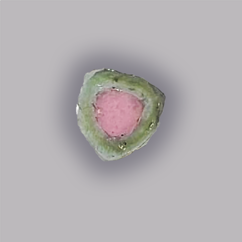 TOURMALINE Melon d'eau - Tranche 4,45 ct.