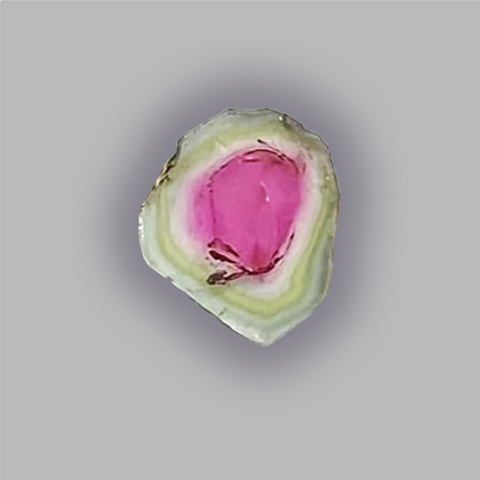TOURMALINE Melon d'eau - Tranche 4,80 ct.