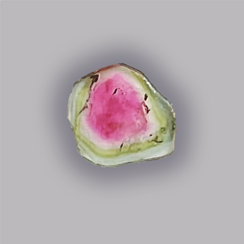 TOURMALINE Melon d'eau - Tranche 5,05 ct.