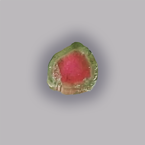 TOURMALINE Melon d'eau - Tranche  7,00 ct.