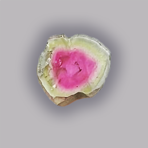 TOURMALINE Melon d'eau - Tranche 7,00 ct.