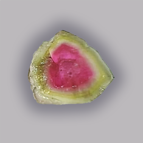 TOURMALINE Melon d'eau - Tranche 9,95 ct.