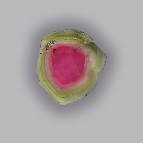 TOURMALINE Melon d'eau - Tranche 11,00 ct.