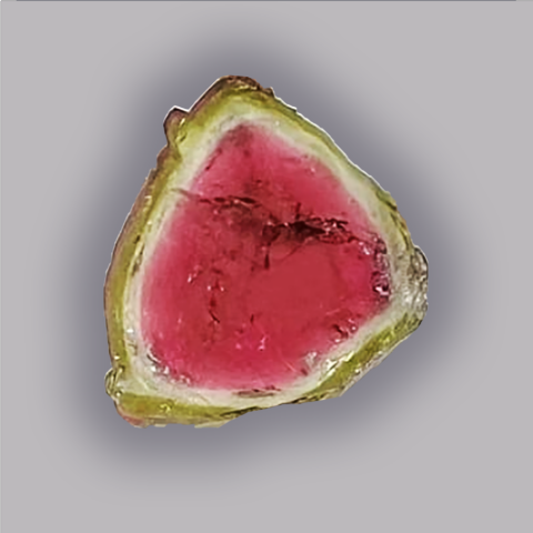 TOURMALINE Melon d'eau - Tranche 12,30 ct.