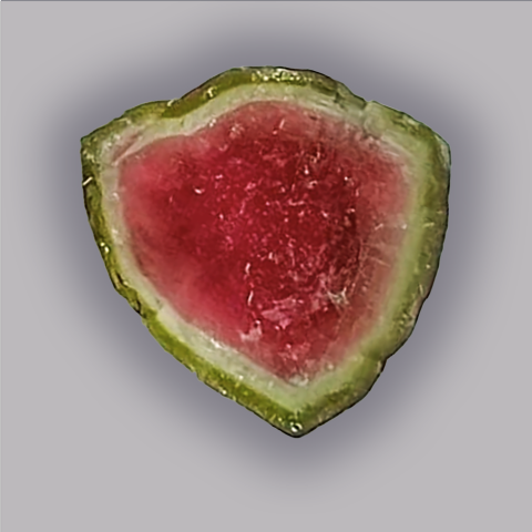 TOURMALINE Melon d'eau - Tranche 18,85 ct.