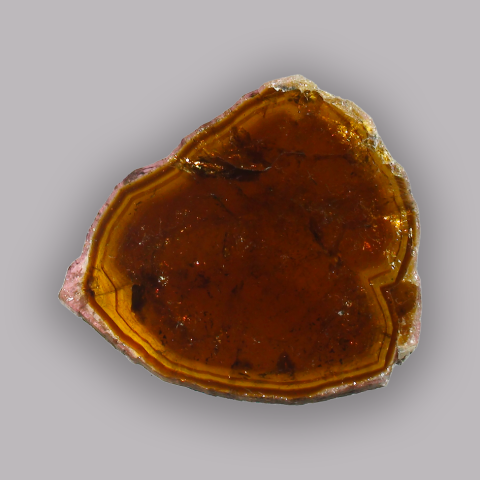 TOURMALINE tranche 20,5 ct., env 26 mm.