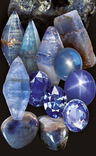 Sample Image 4