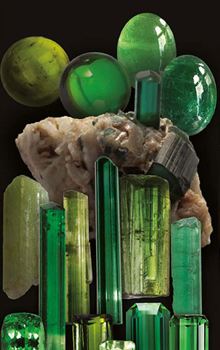 Sample Image 8