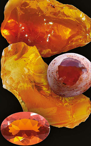 Sample Image 12