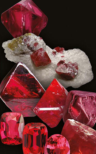Sample Image 14